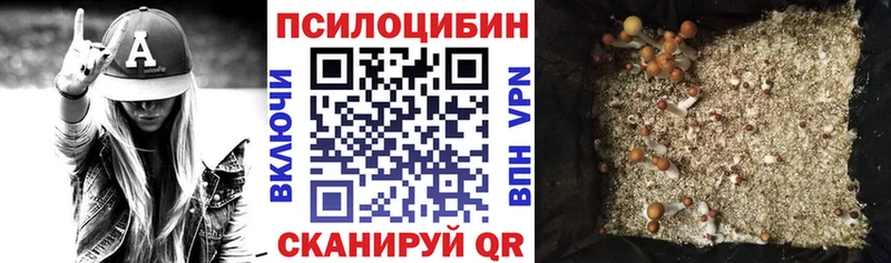 Псилоцибиновые грибы Psilocybine cubensis  Кострома 