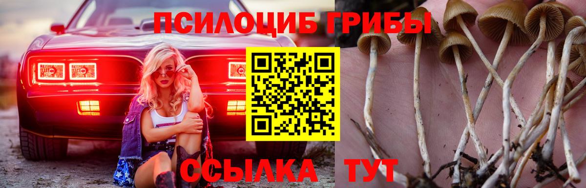 Галлюциногенные грибы мухоморы  Вход с VPN  Кострома 